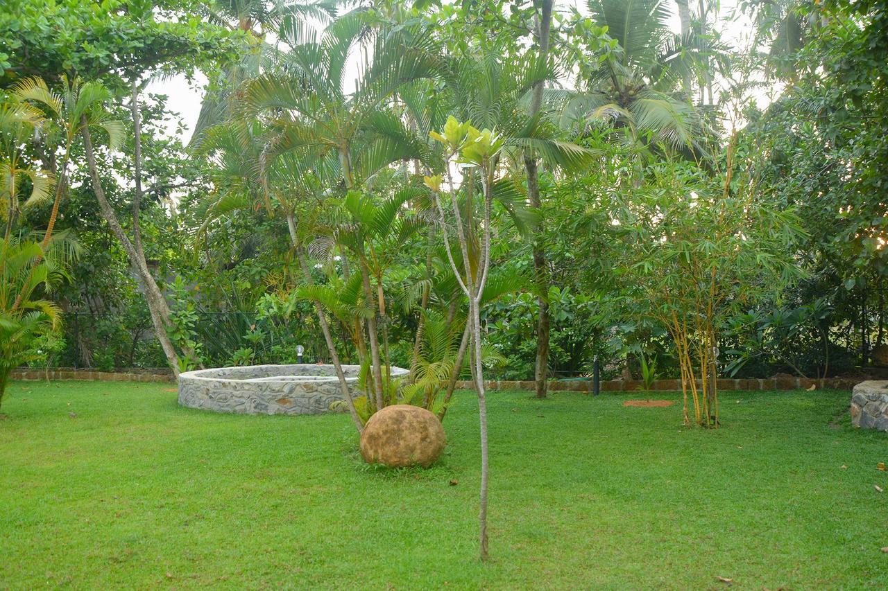 Nature Paradise Balapitiya
