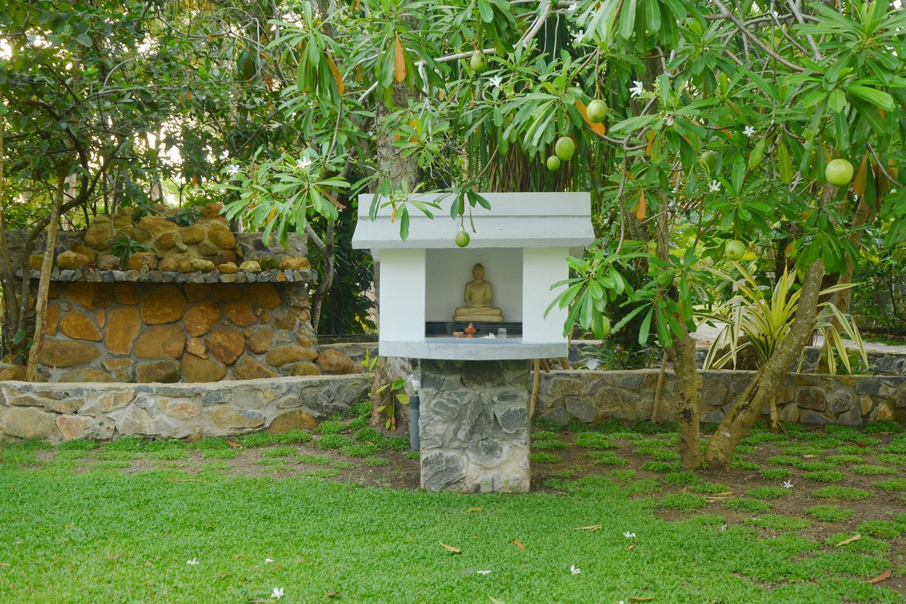 Nature Paradise Balapitiya