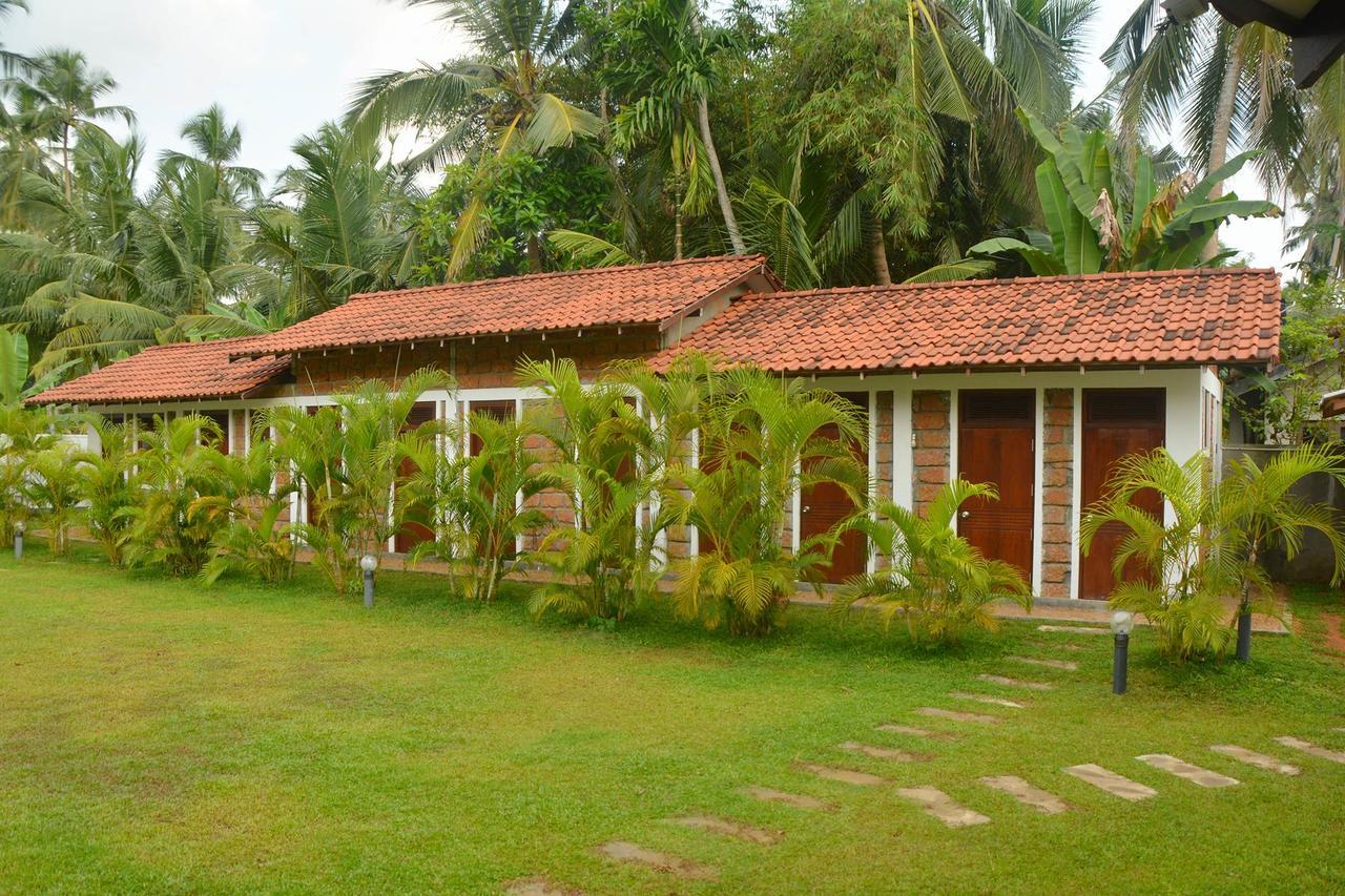 Nature Paradise