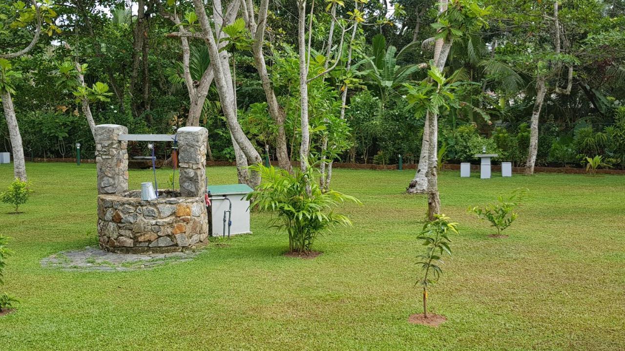Nature Paradise Hotel