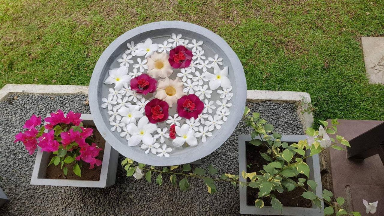 Hotel Nature Paradise Balapitiya