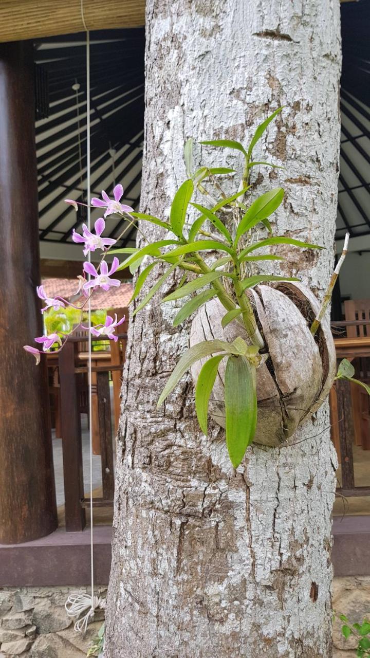 Hotel Nature Paradise