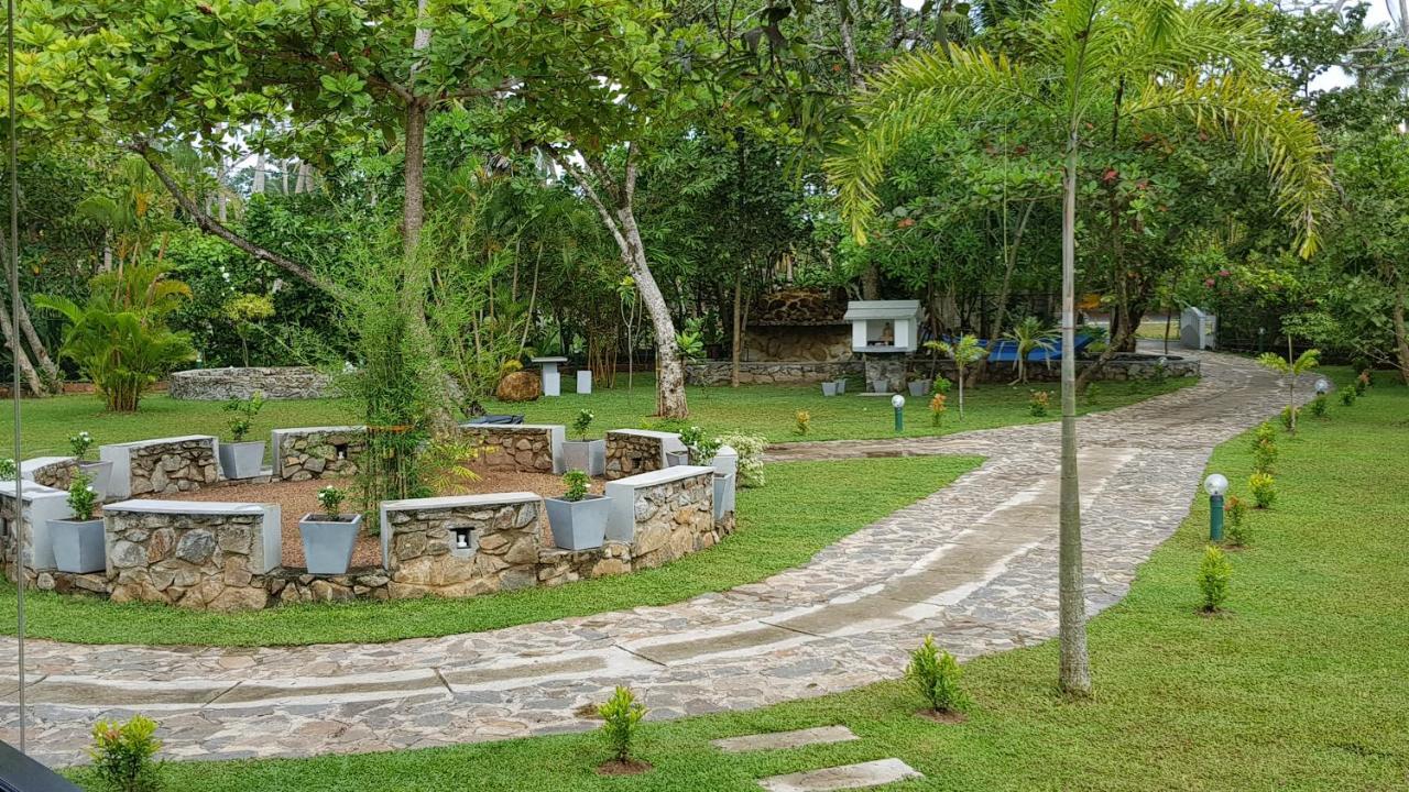 Nature Paradise